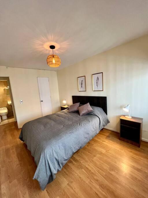 Apartamento Y Comodo Depto En Providencia Santiago