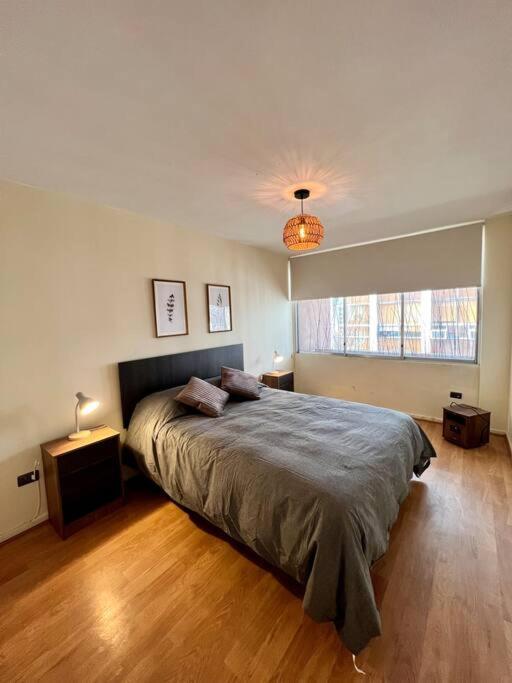Y Comodo Depto En Providencia Apartamento