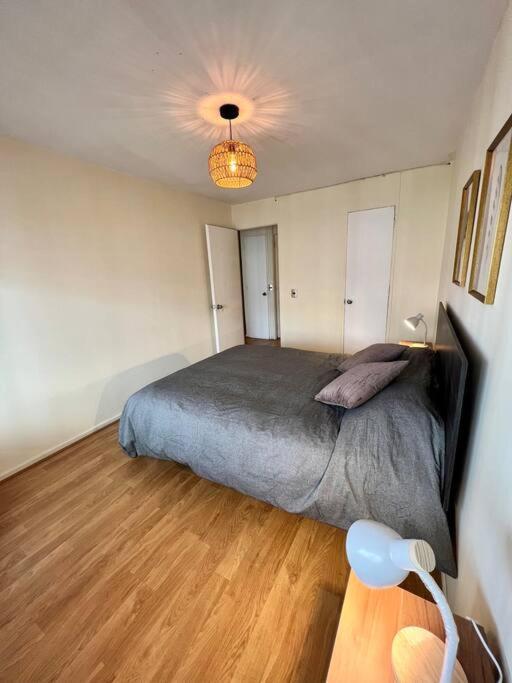 Y Comodo Depto En Providencia Apartamento *